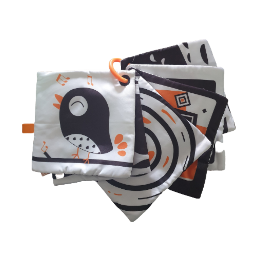 Newborn B&W Cognitive Set