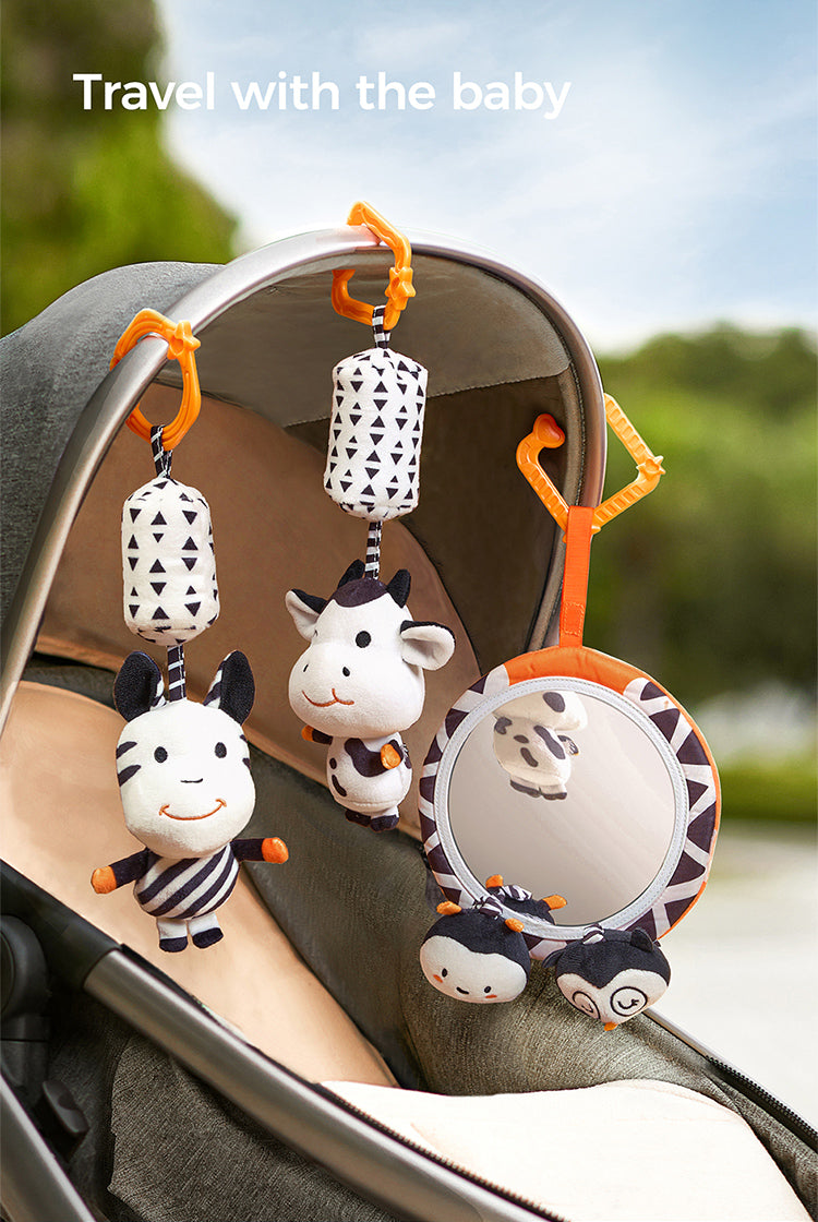 Newborn B&W Cognitive Set