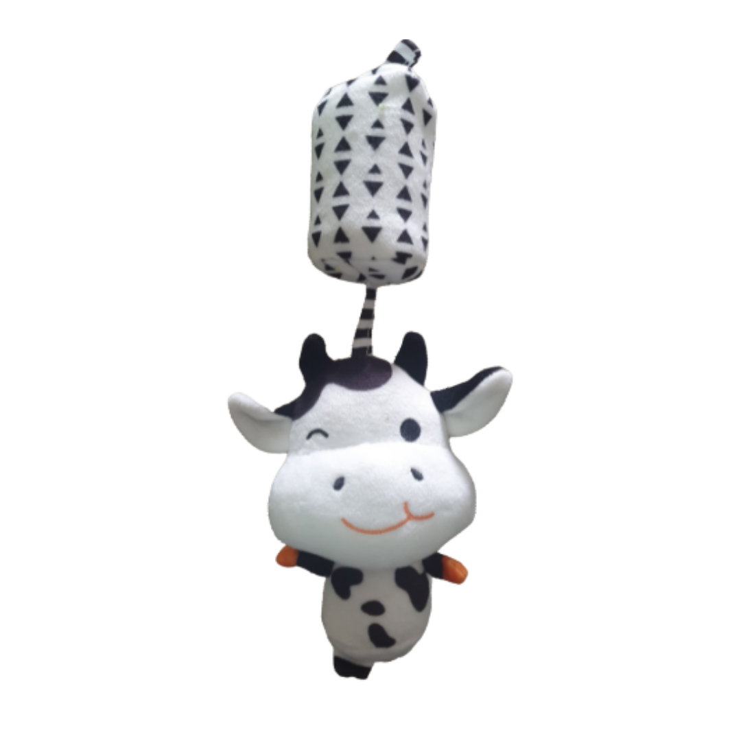 Newborn B&W Cognitive Set