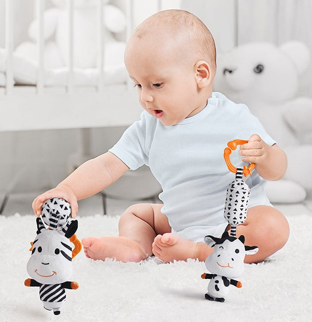 Newborn B&W Cognitive Set