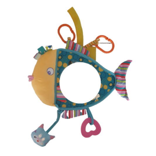 Play Activity Mirror Fish