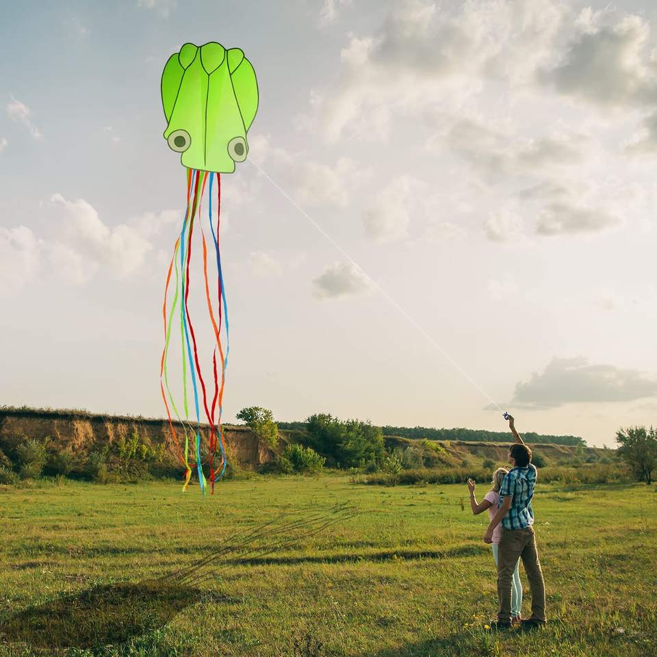 Kites