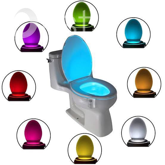Toilet Training Bundle - Blue