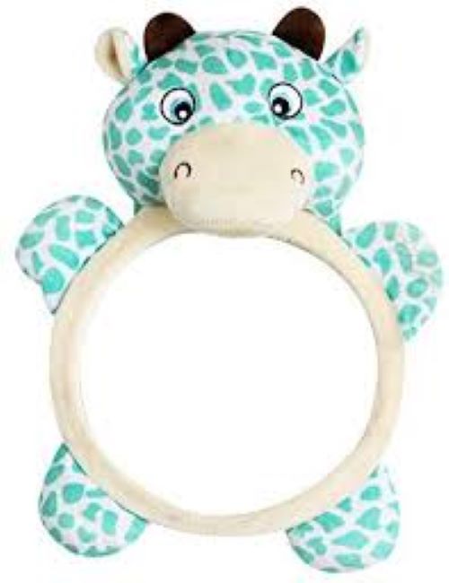 Baby Car Mirror - The Chaos Emporium
