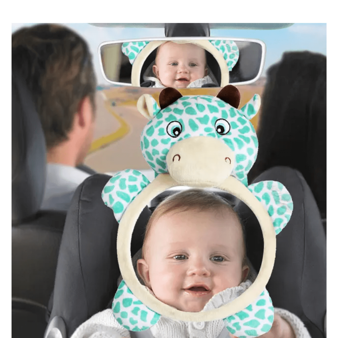 Baby Car Mirror - The Chaos Emporium