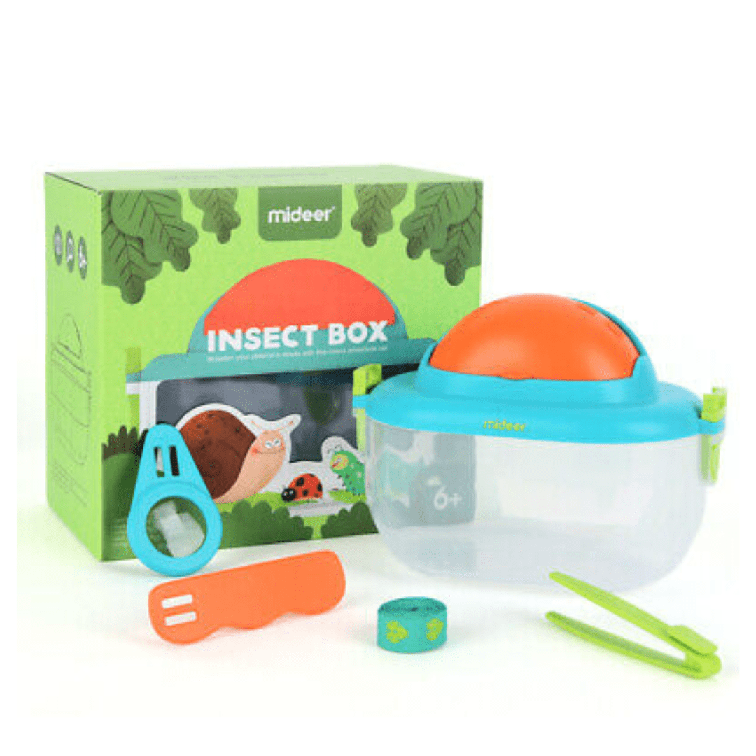 Insect Box - The Chaos Emporium