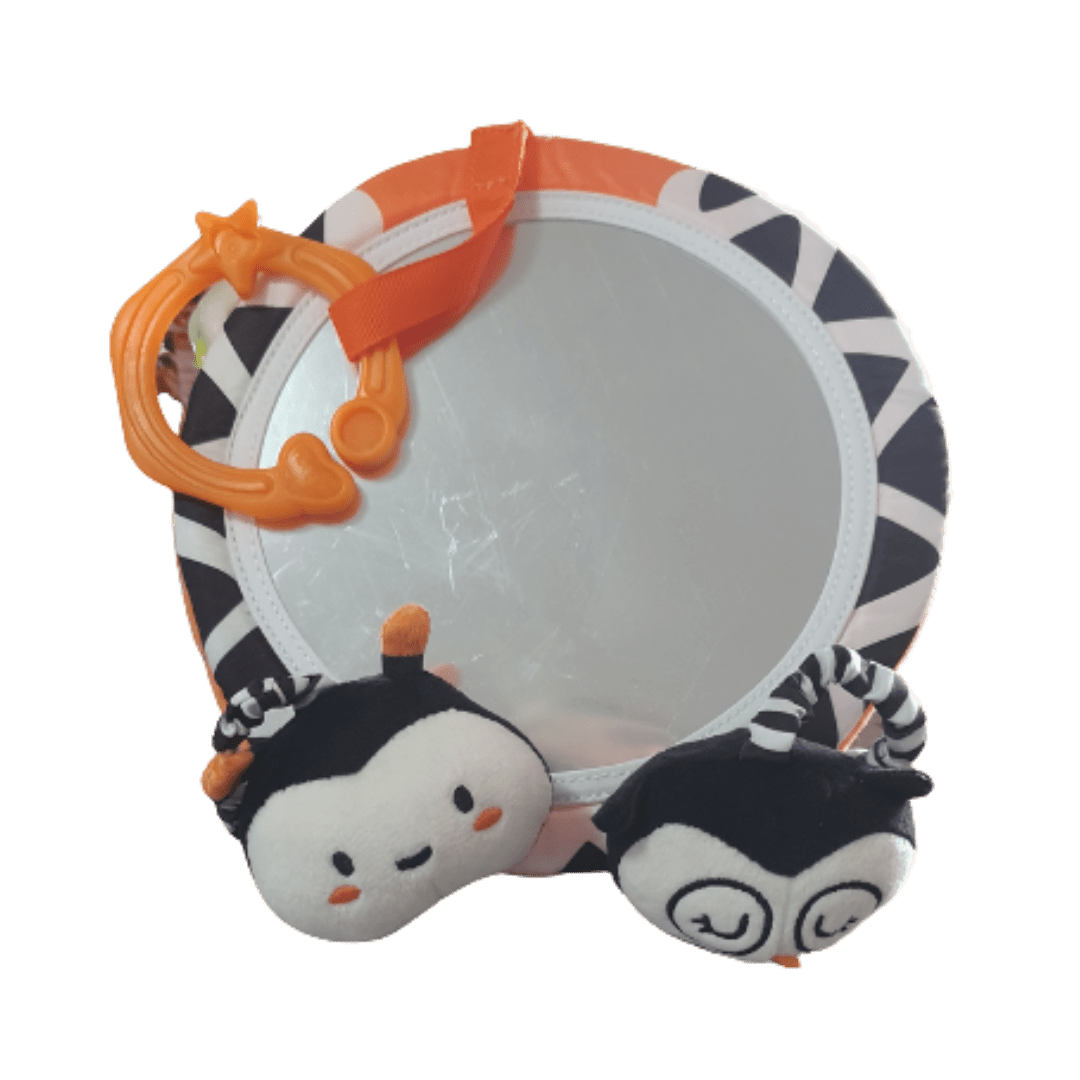 Newborn B&W Cognitive Set - The Chaos Emporium