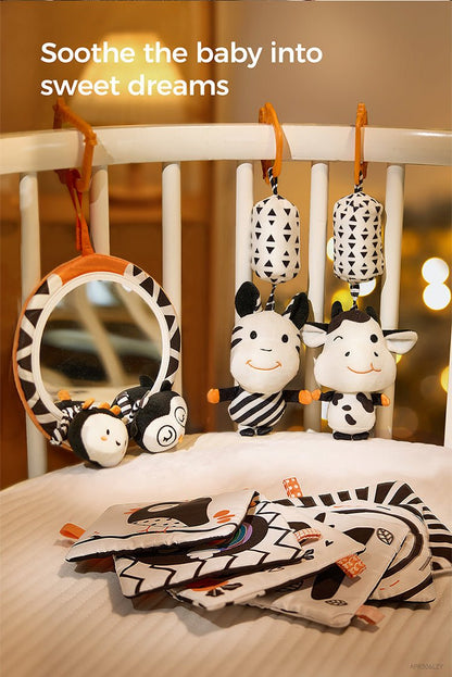 Newborn B&W Cognitive Set - The Chaos Emporium