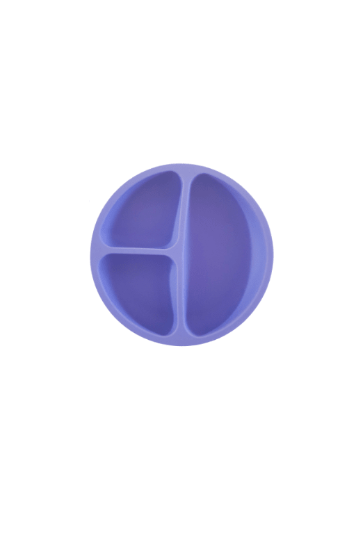 Silicone Divided Toddler Plate - The Chaos Emporium