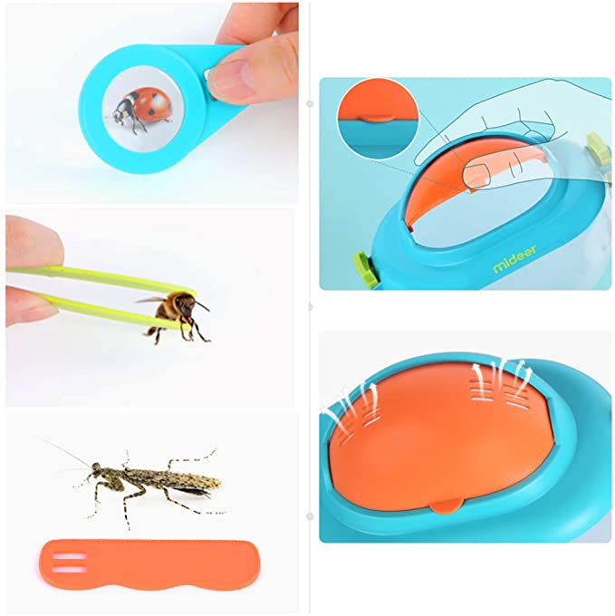 Insect Box - The Chaos Emporium